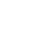 IVA Business School